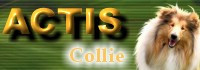 Baner ACTIS